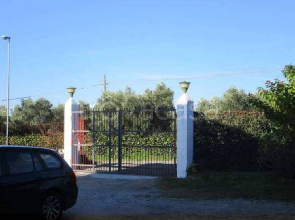 immagine annuncio 4 di 11