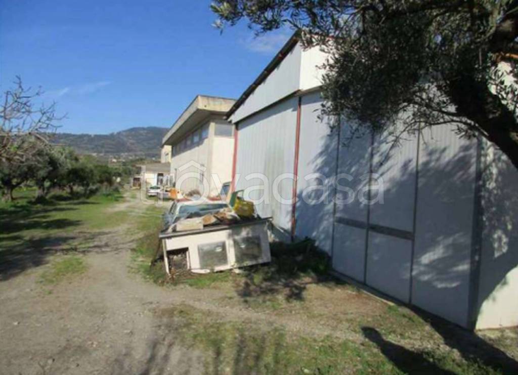 immagine annuncio 5 di 11