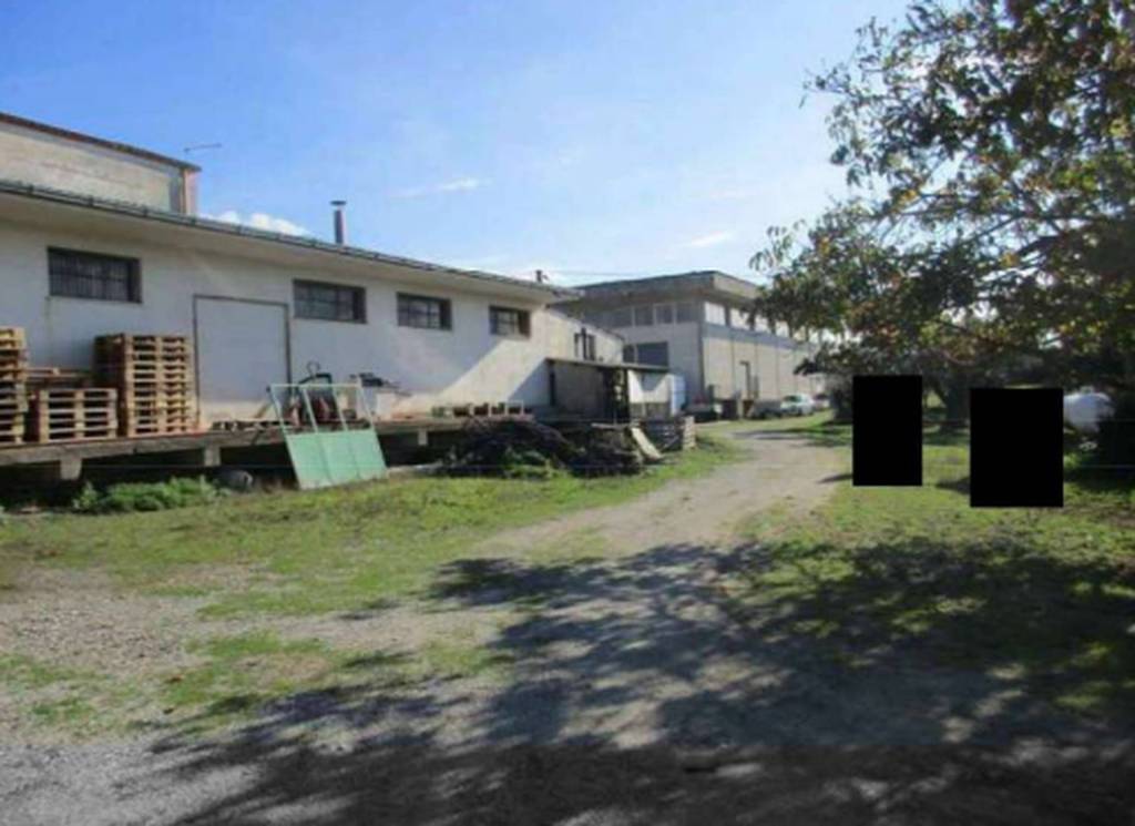 immagine annuncio 7 di 11