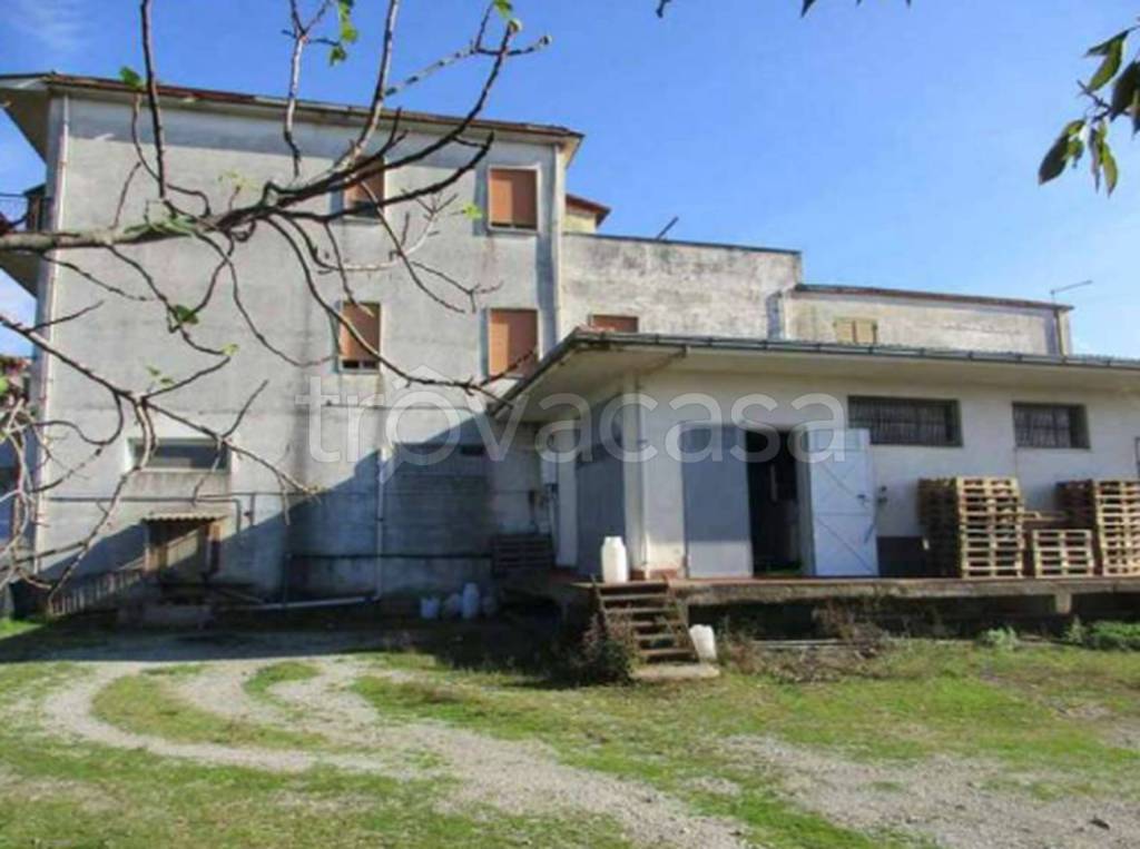 immagine annuncio 8 di 11