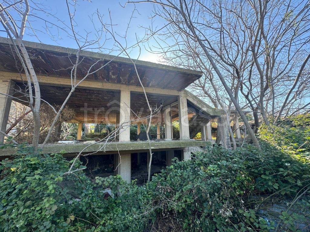 immagine annuncio 3 di 12