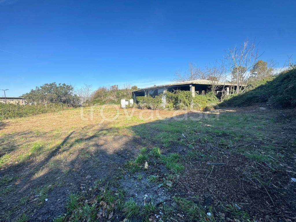 immagine annuncio 5 di 12