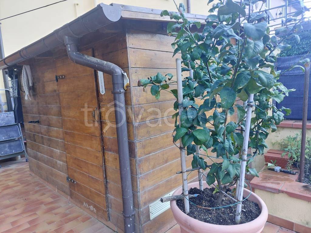 immagine annuncio 11 di 15