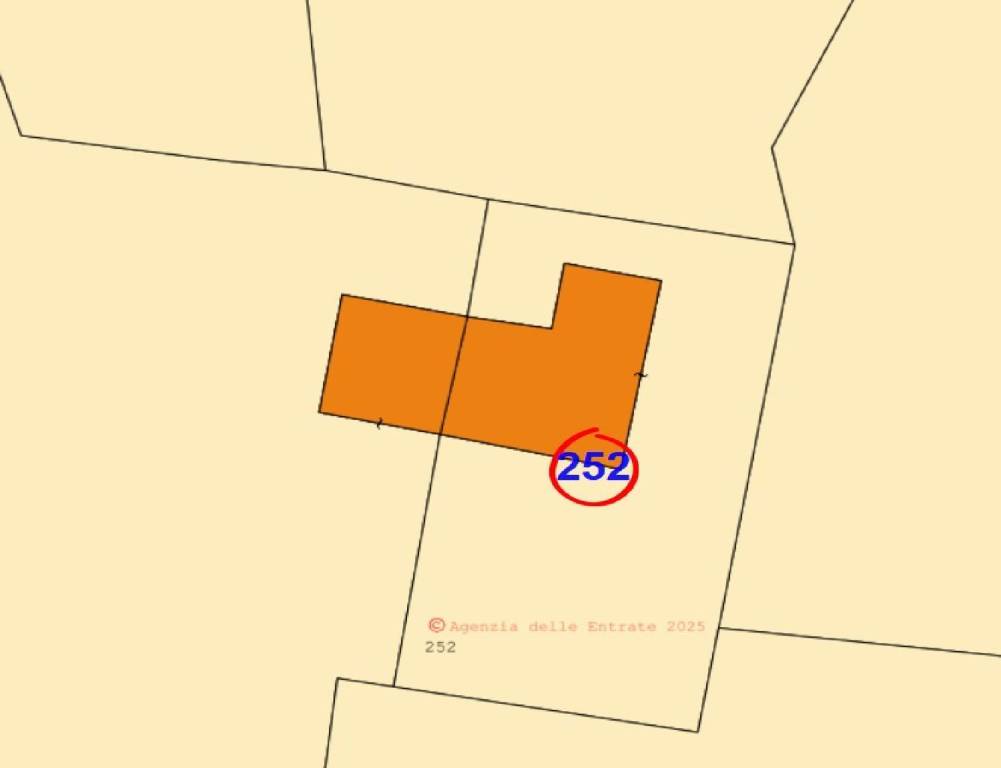 immagine annuncio 11 di 12