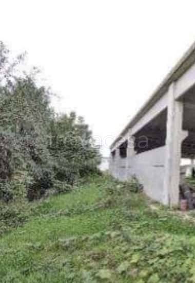 immagine annuncio 4 di 8