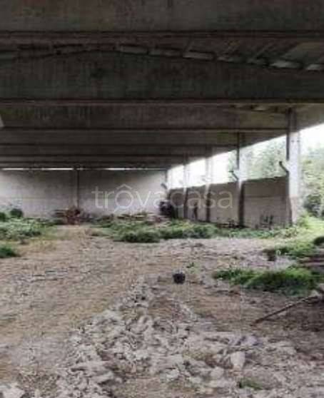 immagine annuncio 6 di 8