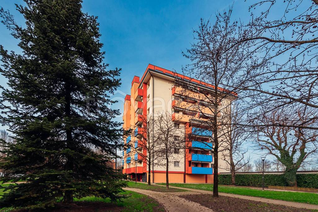 immagine annuncio 2 di 15