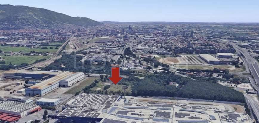 immagine annuncio 1 di 6