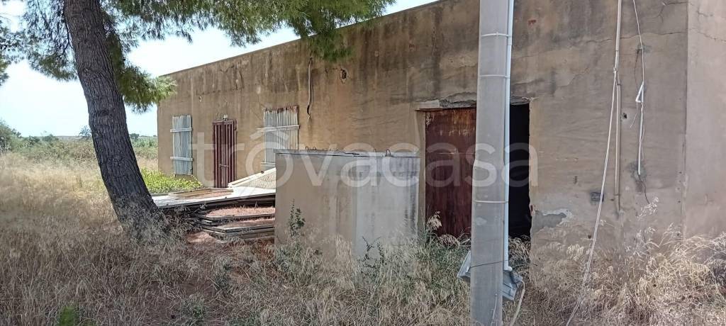 immagine annuncio 8 di 12