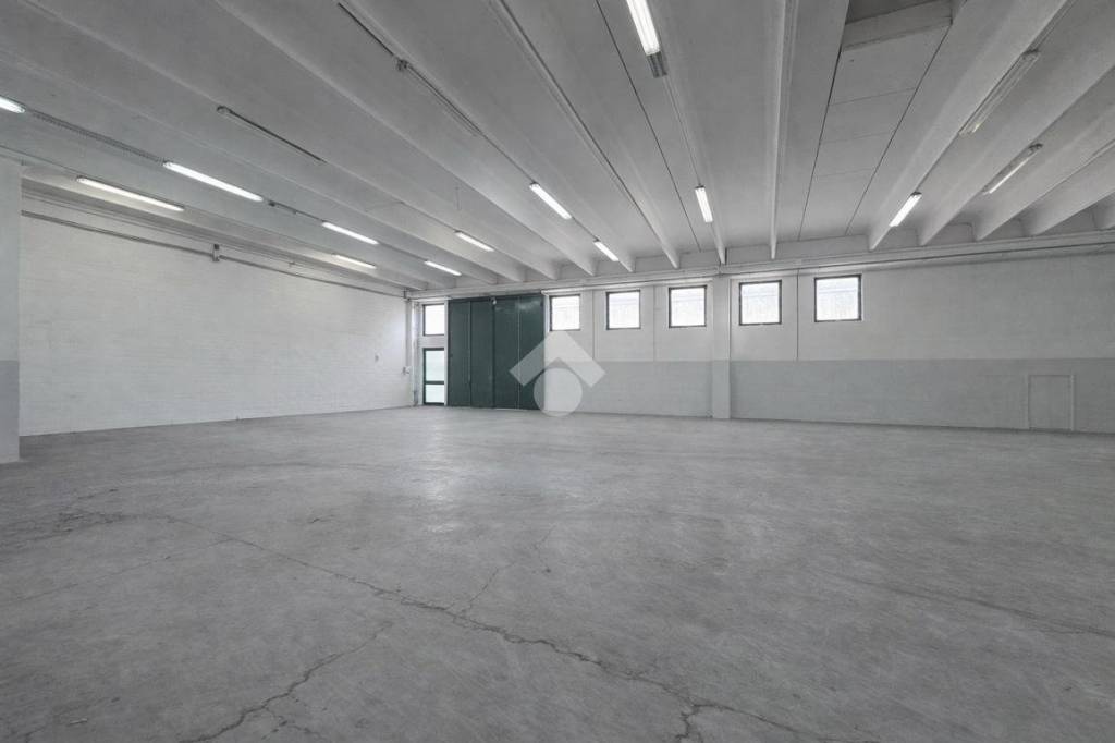 immagine annuncio 4 di 11