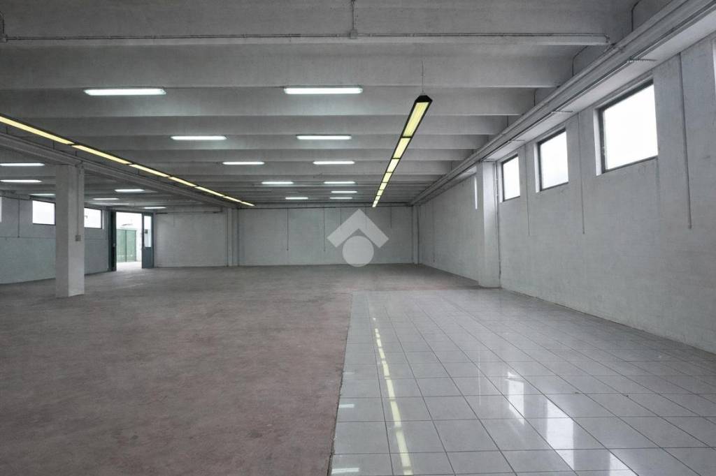 immagine annuncio 5 di 11