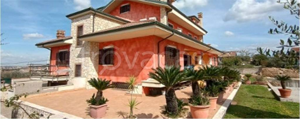 immagine annuncio 2 di 11