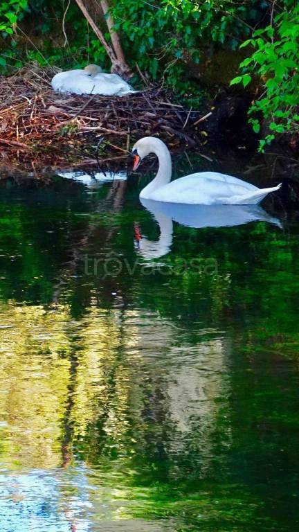 immagine annuncio 11 di 14