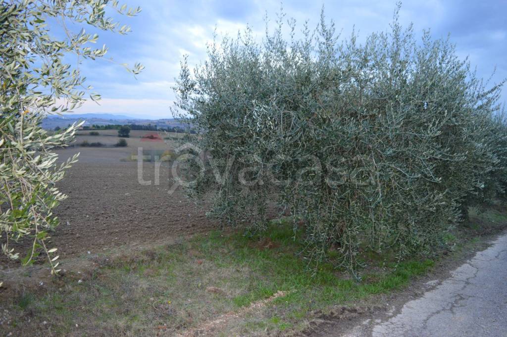 immagine annuncio 7 di 9