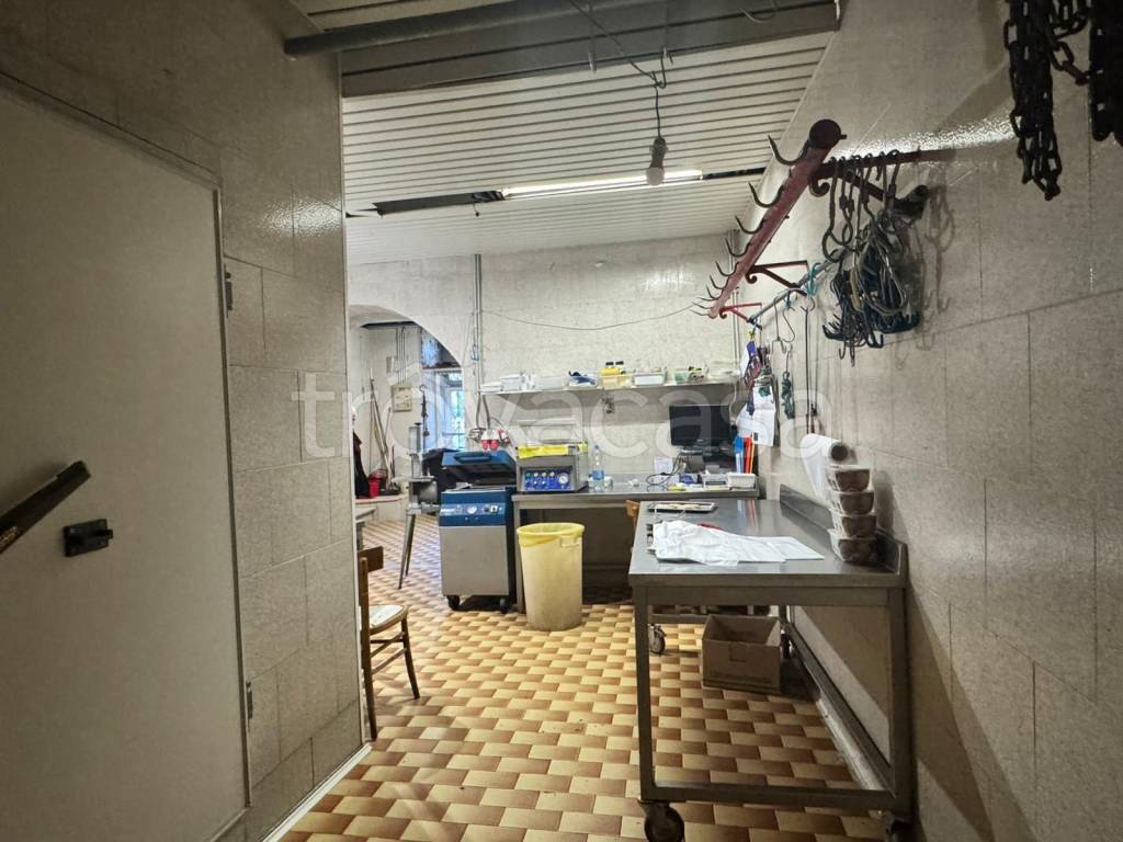 immagine annuncio 7 di 14