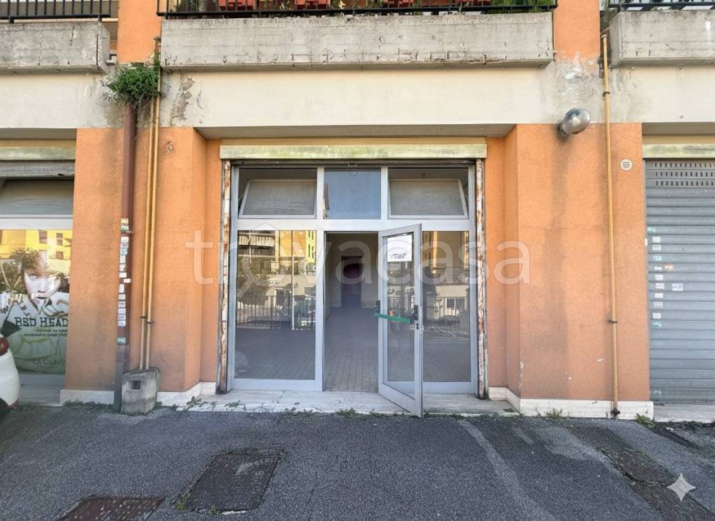 immagine annuncio 1 di 8