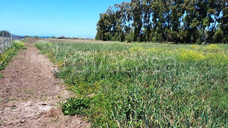 immagine annuncio 10 di 13