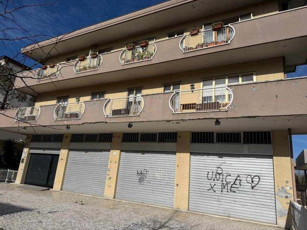 immagine annuncio 1 di 14