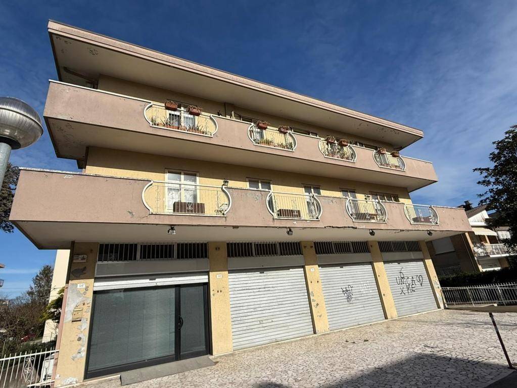 immagine annuncio 3 di 14