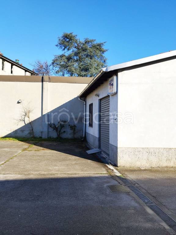 immagine annuncio 1 di 10