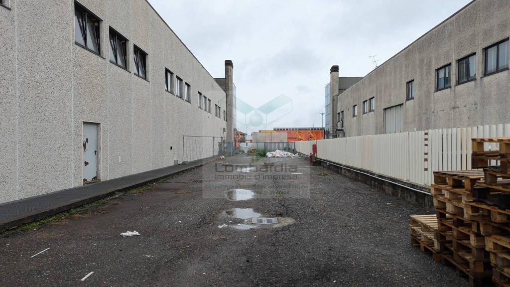 immagine annuncio 6 di 8