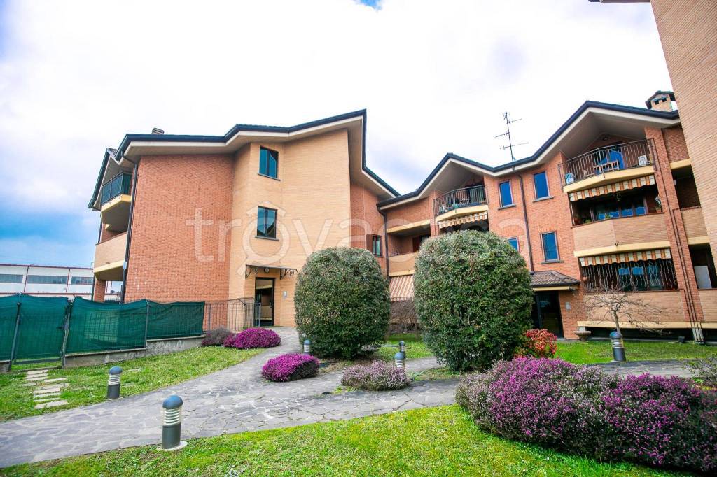 immagine annuncio 5 di 15