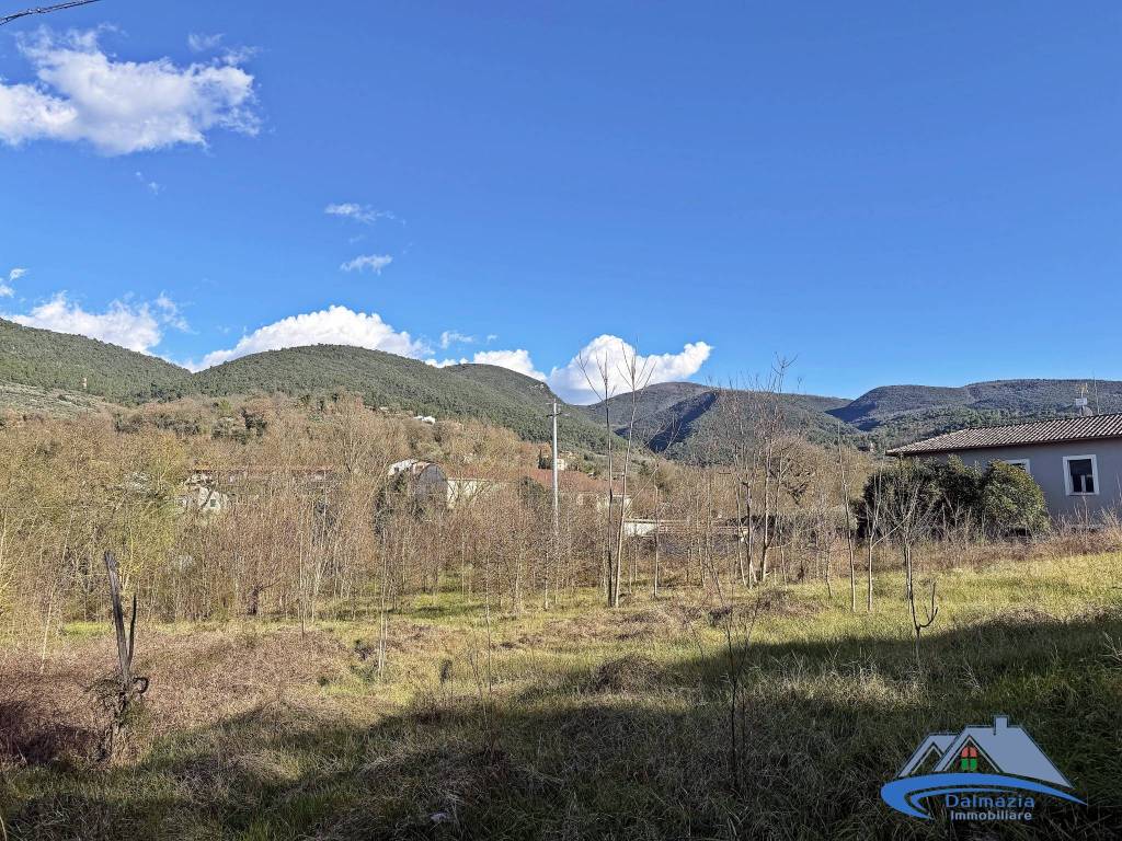 immagine annuncio 6 di 12