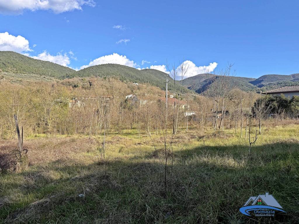 immagine annuncio 7 di 12