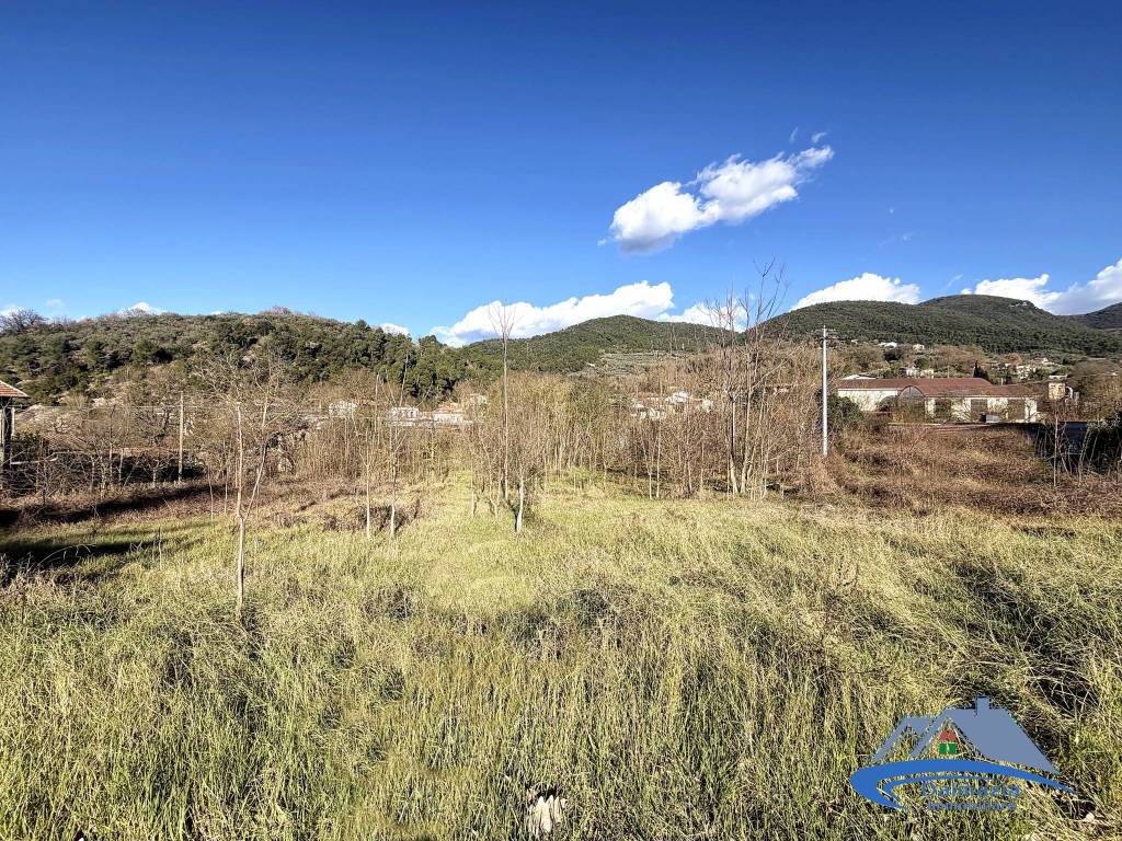 immagine annuncio 8 di 12