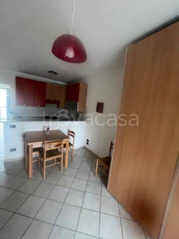 immagine annuncio 7 di 14