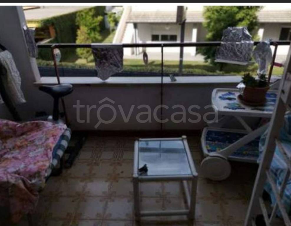 immagine annuncio 5 di 11