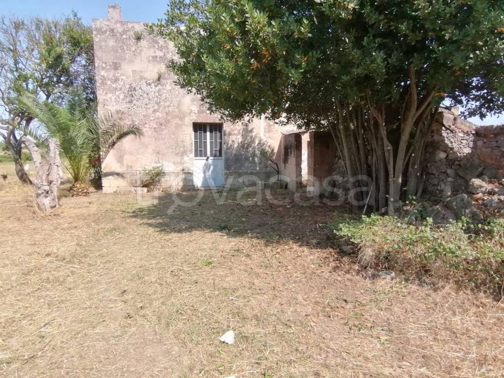 immagine annuncio 11 di 12