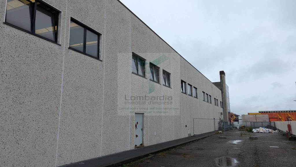 immagine annuncio 3 di 8