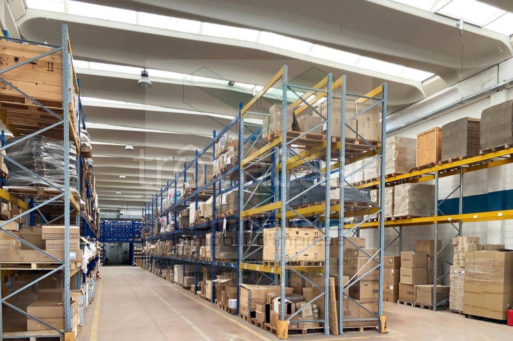 immagine annuncio 4 di 8