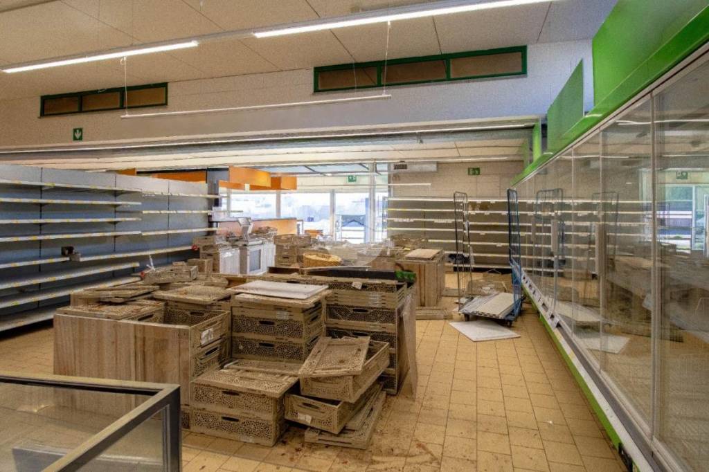 immagine annuncio 7 di 15