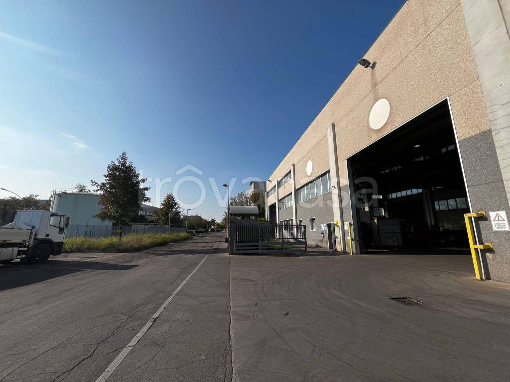 immagine annuncio 1 di 12