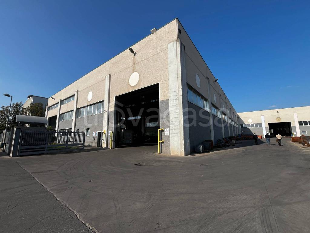 immagine annuncio 2 di 12