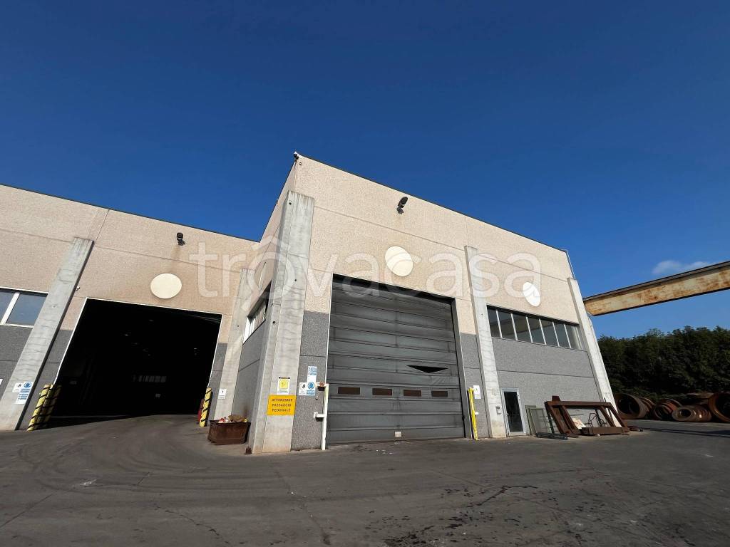 immagine annuncio 3 di 12