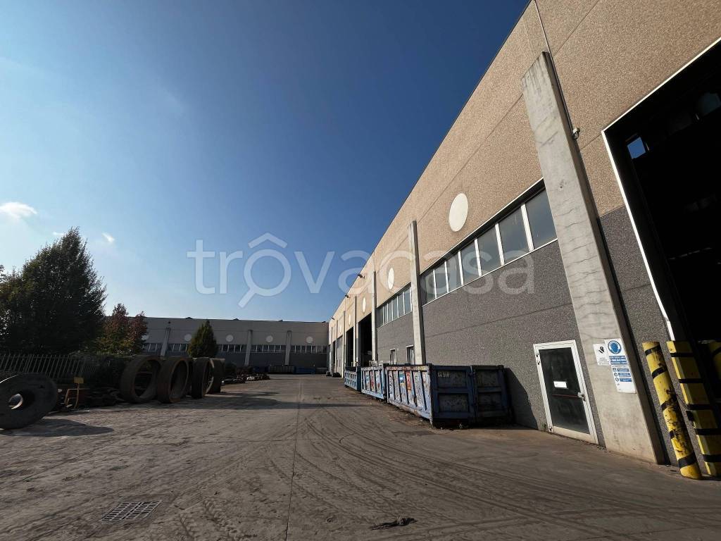 immagine annuncio 4 di 12