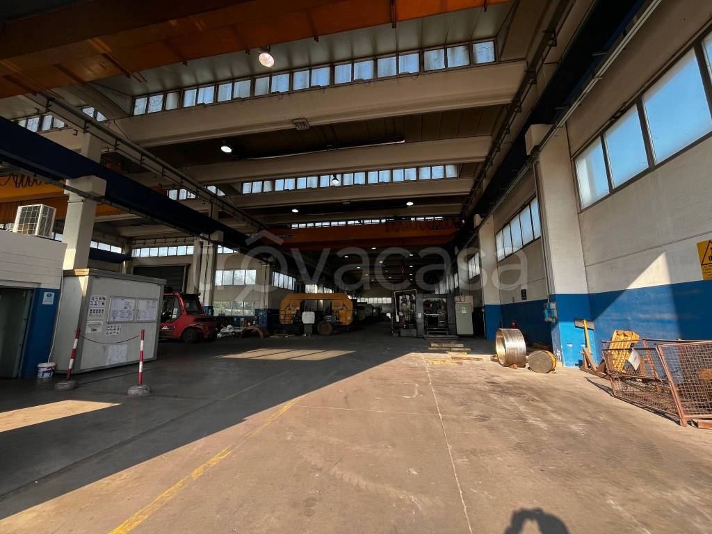 immagine annuncio 7 di 12