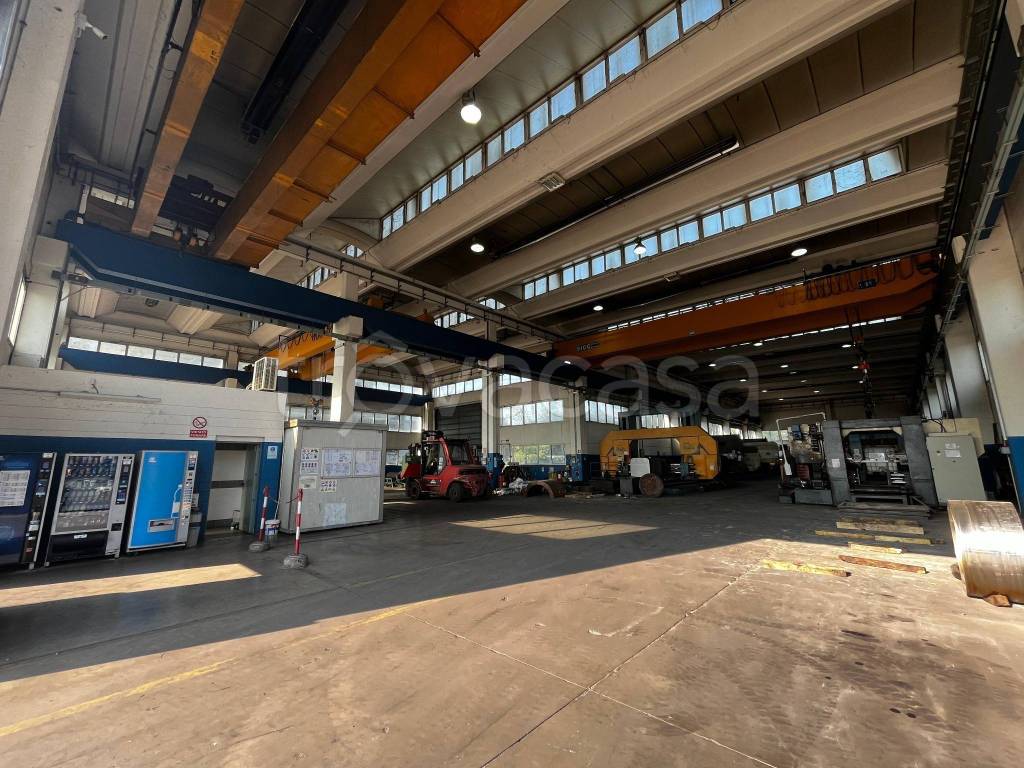 immagine annuncio 8 di 12