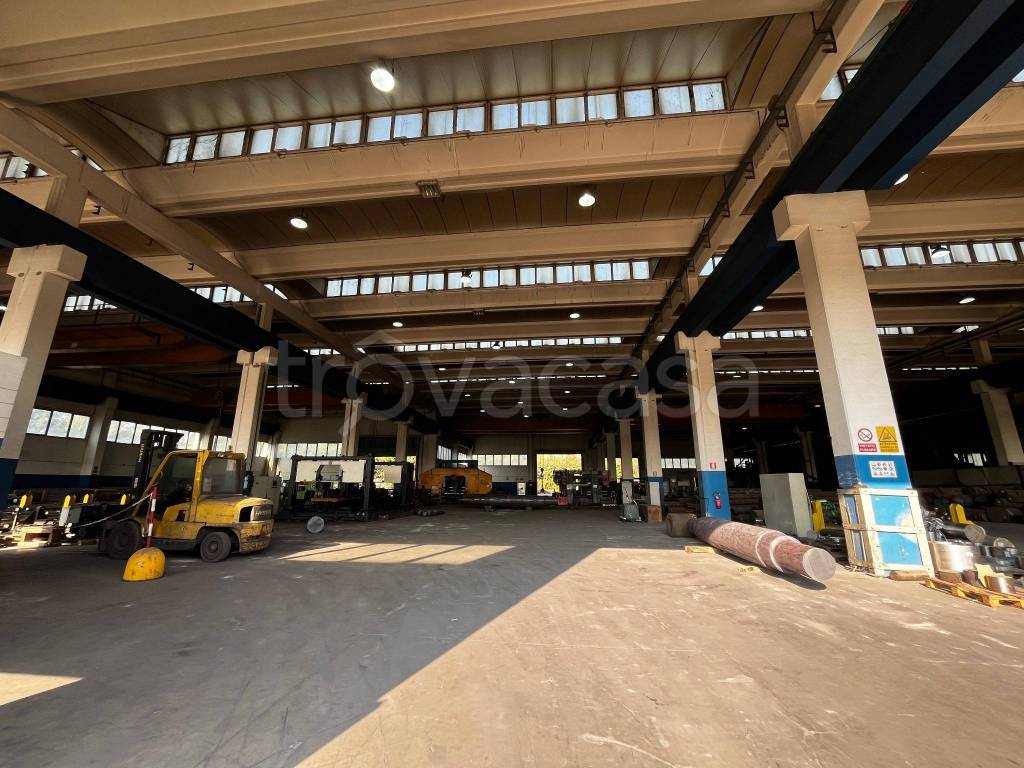 immagine annuncio 10 di 12