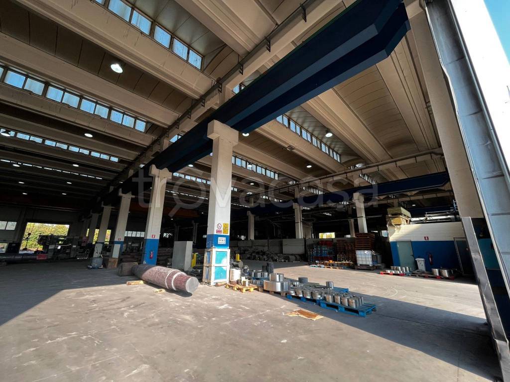 immagine annuncio 11 di 12