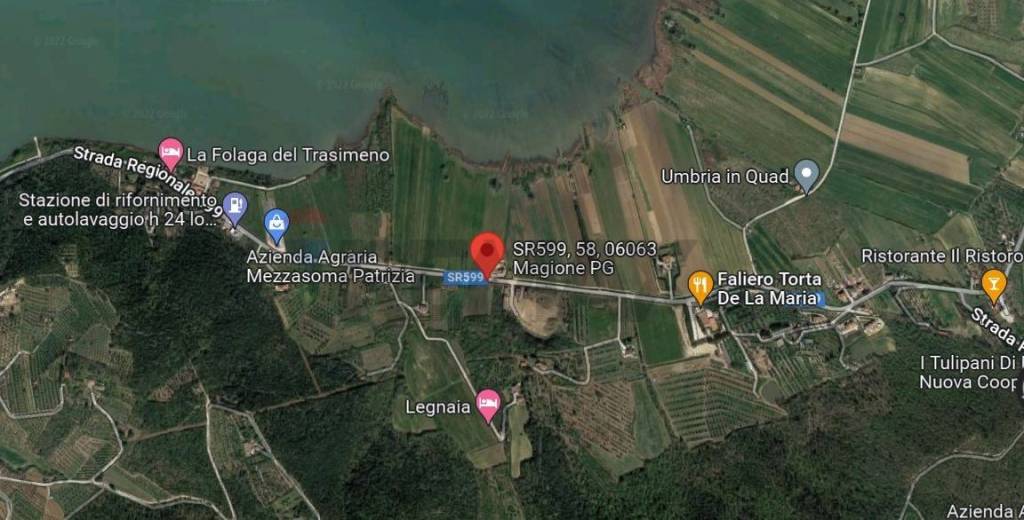 immagine annuncio 10 di 15