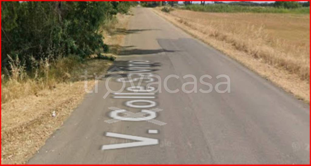 immagine annuncio 6 di 11