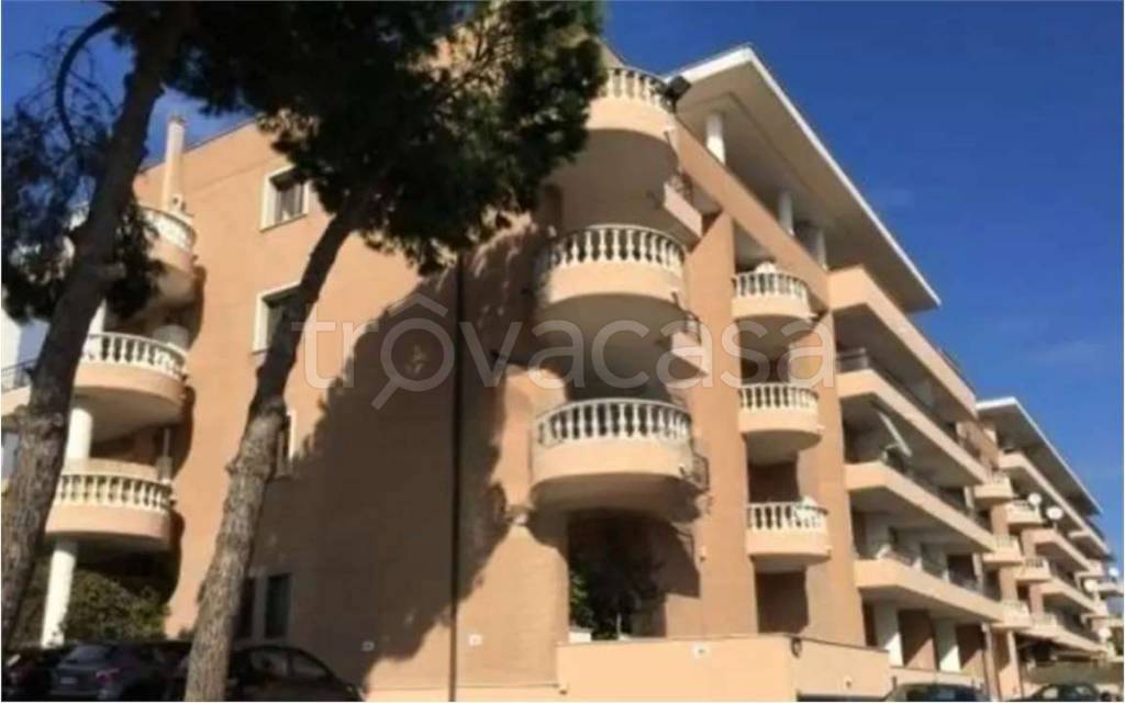 immagine annuncio 7 di 11