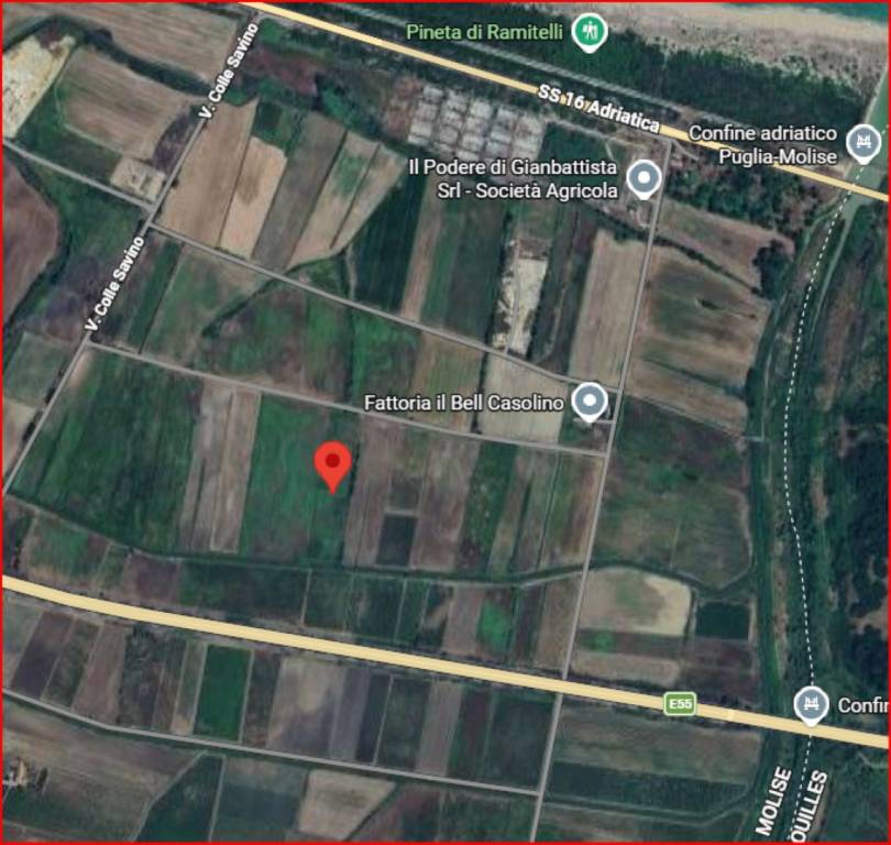 immagine annuncio 10 di 11