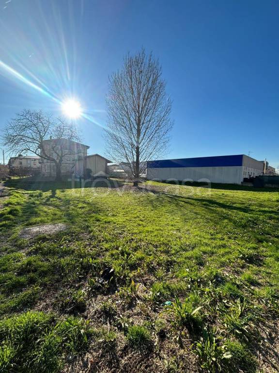 immagine annuncio 1 di 4