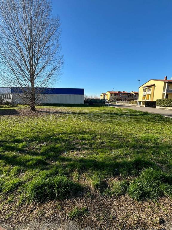 immagine annuncio 2 di 4