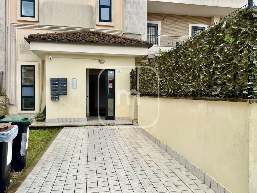 immagine annuncio 1 di 14